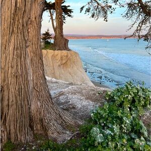 Meet your Posher, Dyan Kaia